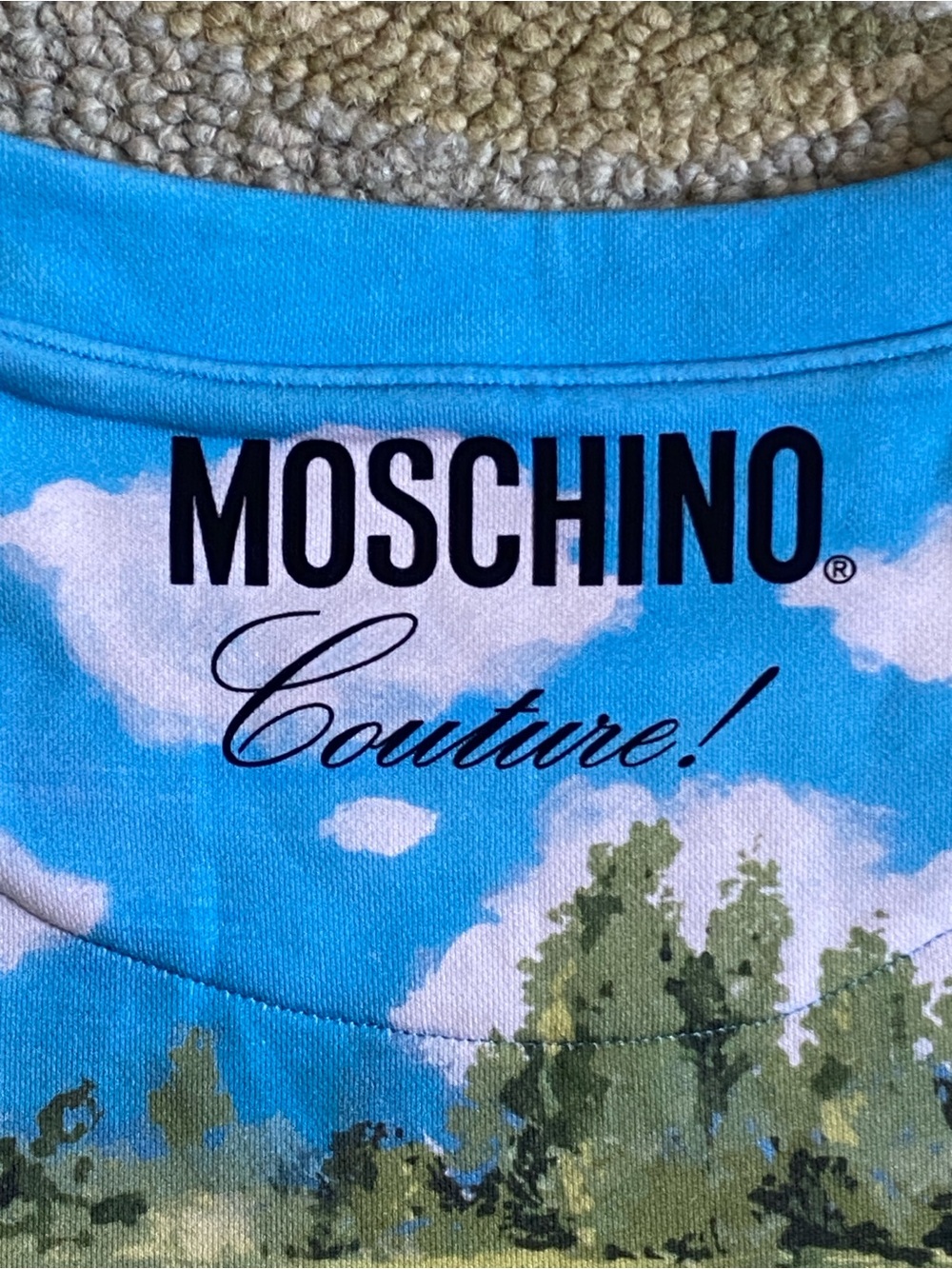 Moschino - Countryside Cotton Sweatshirt - FW21 Collection - Fall-Winter 2021 - Picture 14 of 16